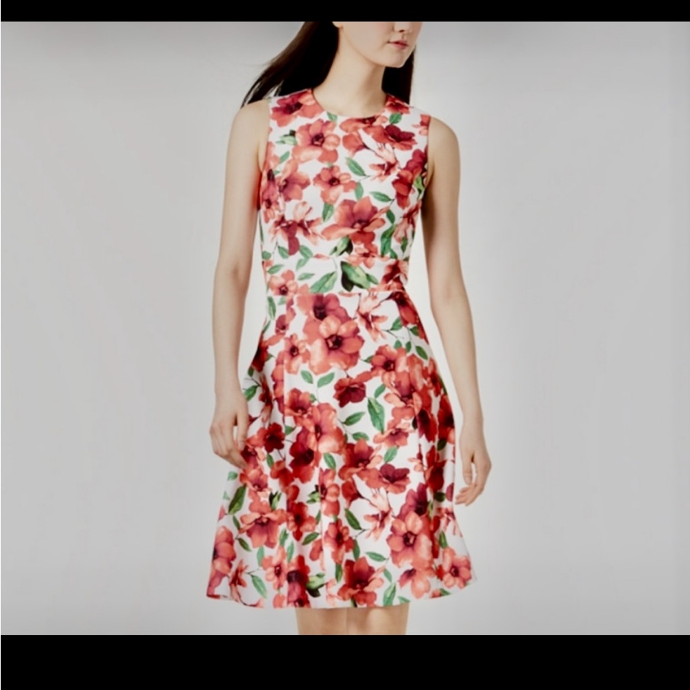 Calvin Klein Red Floral Midi A-line Dress Size 6